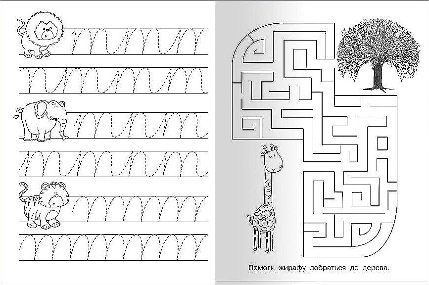 Writing Exercises with Hedgehog