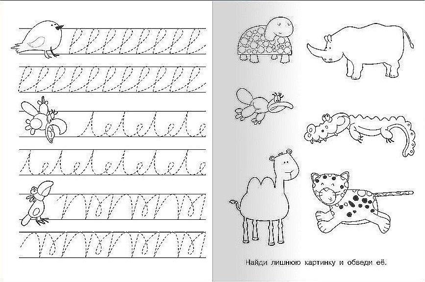 Writing Exercises with Hedgehog