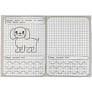 Drawing in Squares. Animals
