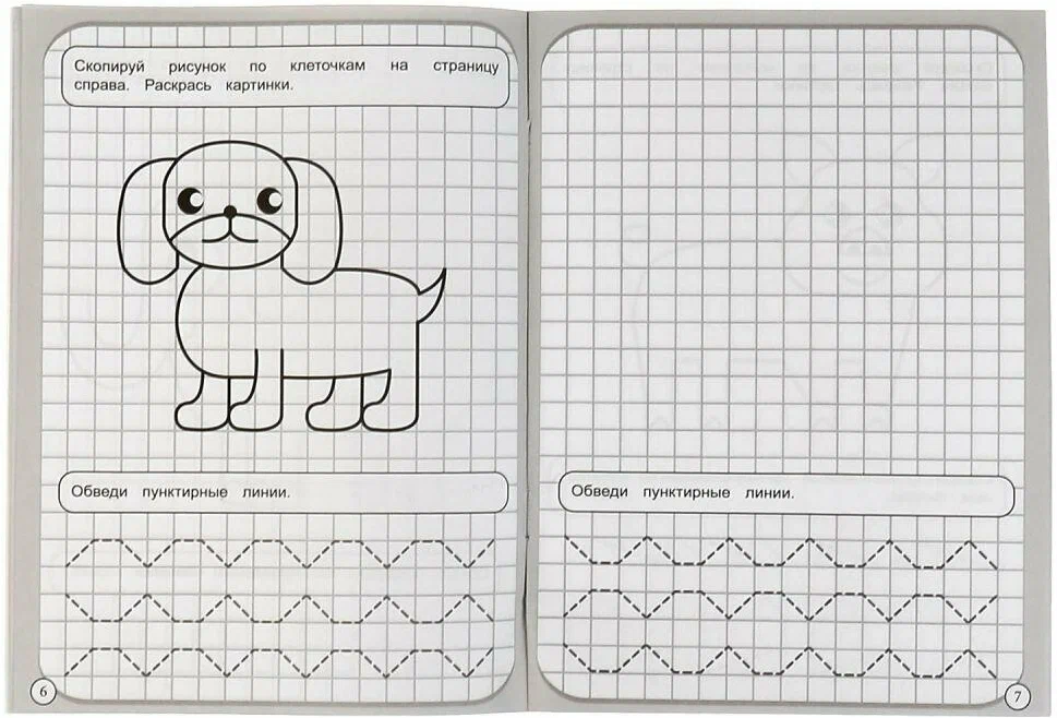 Drawing in Squares. Animals