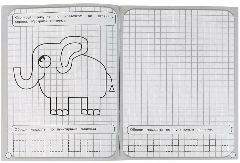 Drawing in Squares. Animals