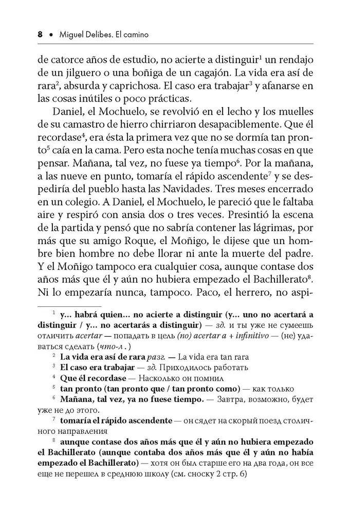 The Road (A Reading Book in Spanish)