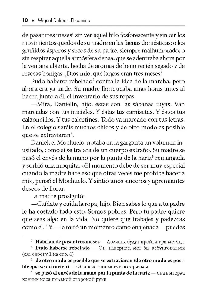 The Road (A Reading Book in Spanish)