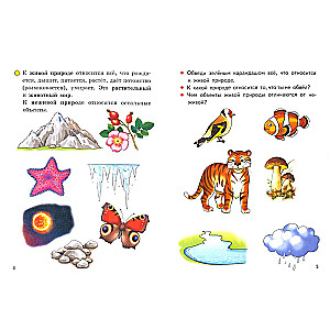 The World Around Us (5-6 Years)