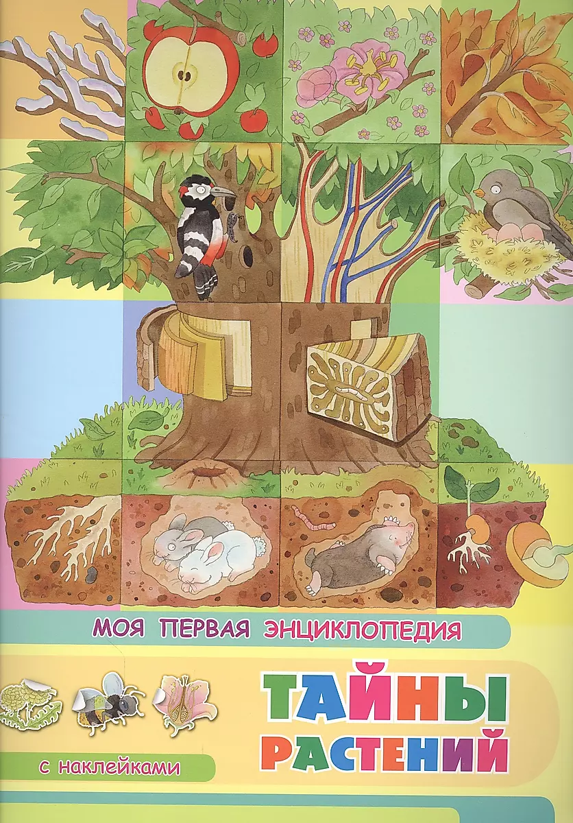 The Secrets of Plants
