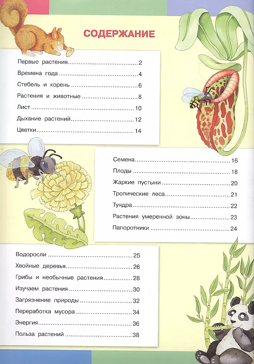 The Secrets of Plants