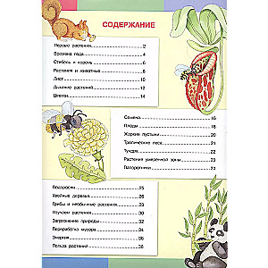 The Secrets of Plants