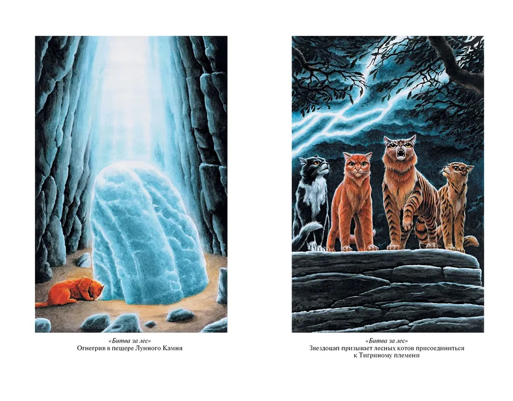 Warriors: The Dangerous Path. Battle for the Forest