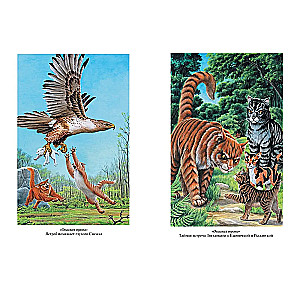 Warriors: The Dangerous Path. Battle for the Forest