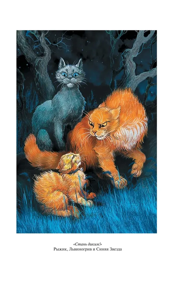 Warriors. Become Wild! Fire and Ice