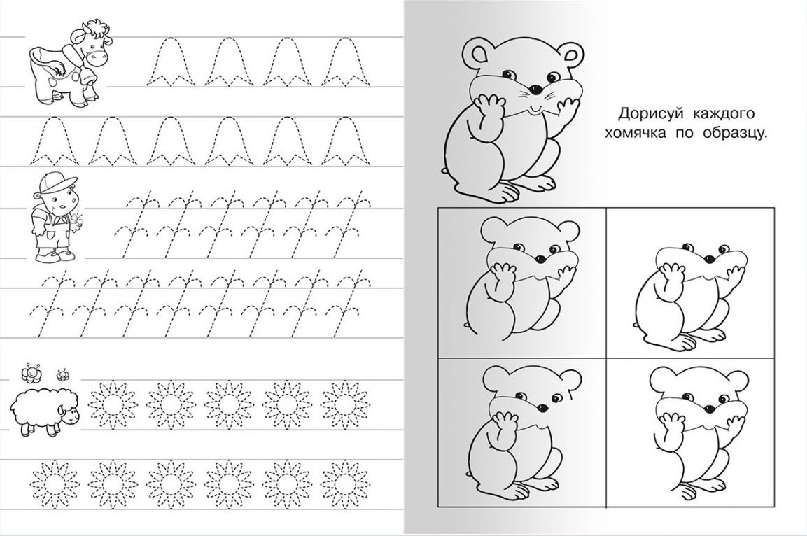 Writing Practice with Exercises Bunny