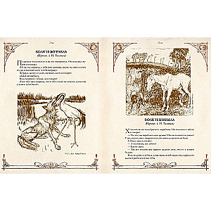 The Best Fables of the World