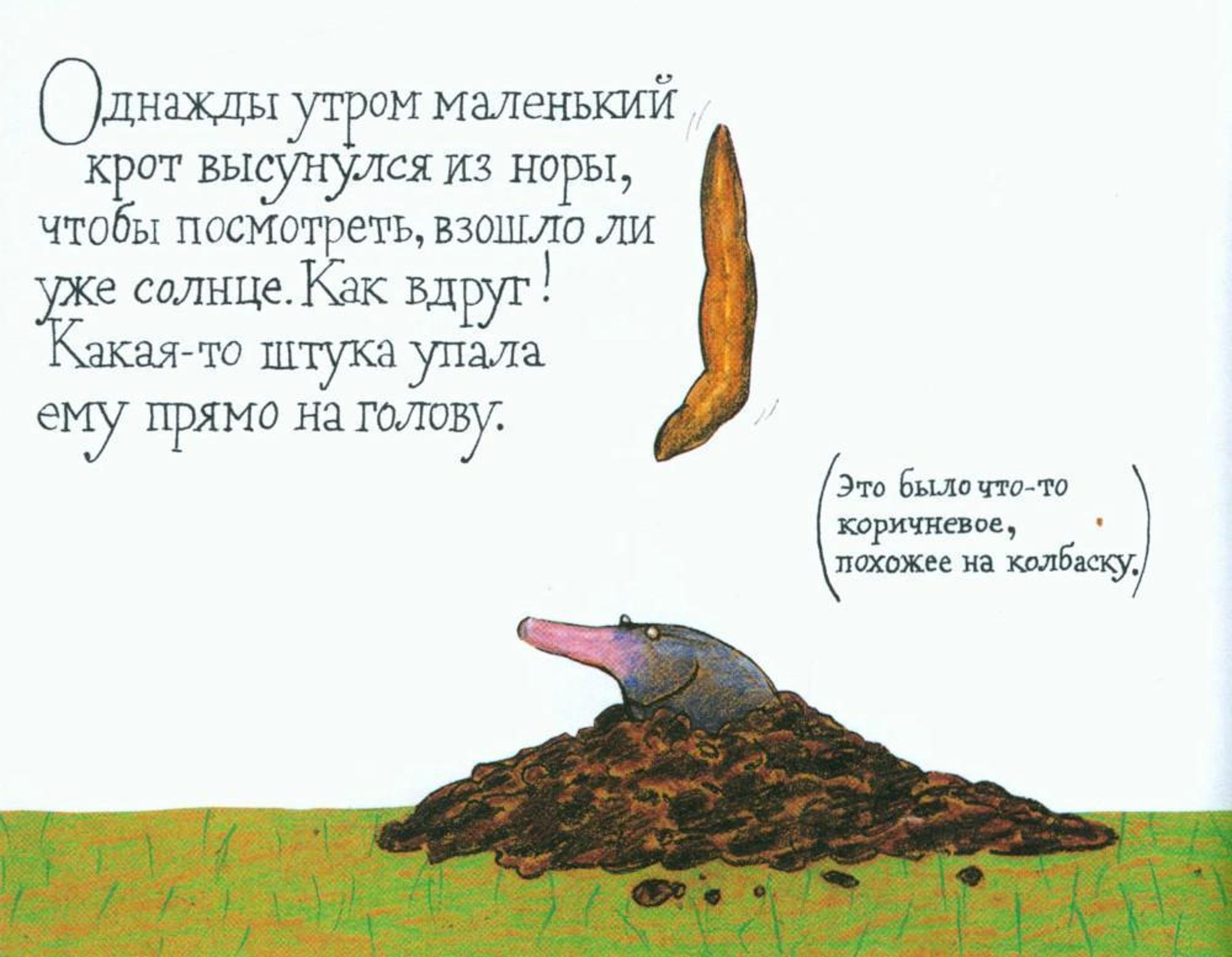 The Little Mole Who Knew It Wasn't His Fault