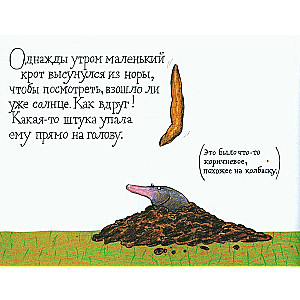 The Little Mole Who Knew It Wasn't His Fault