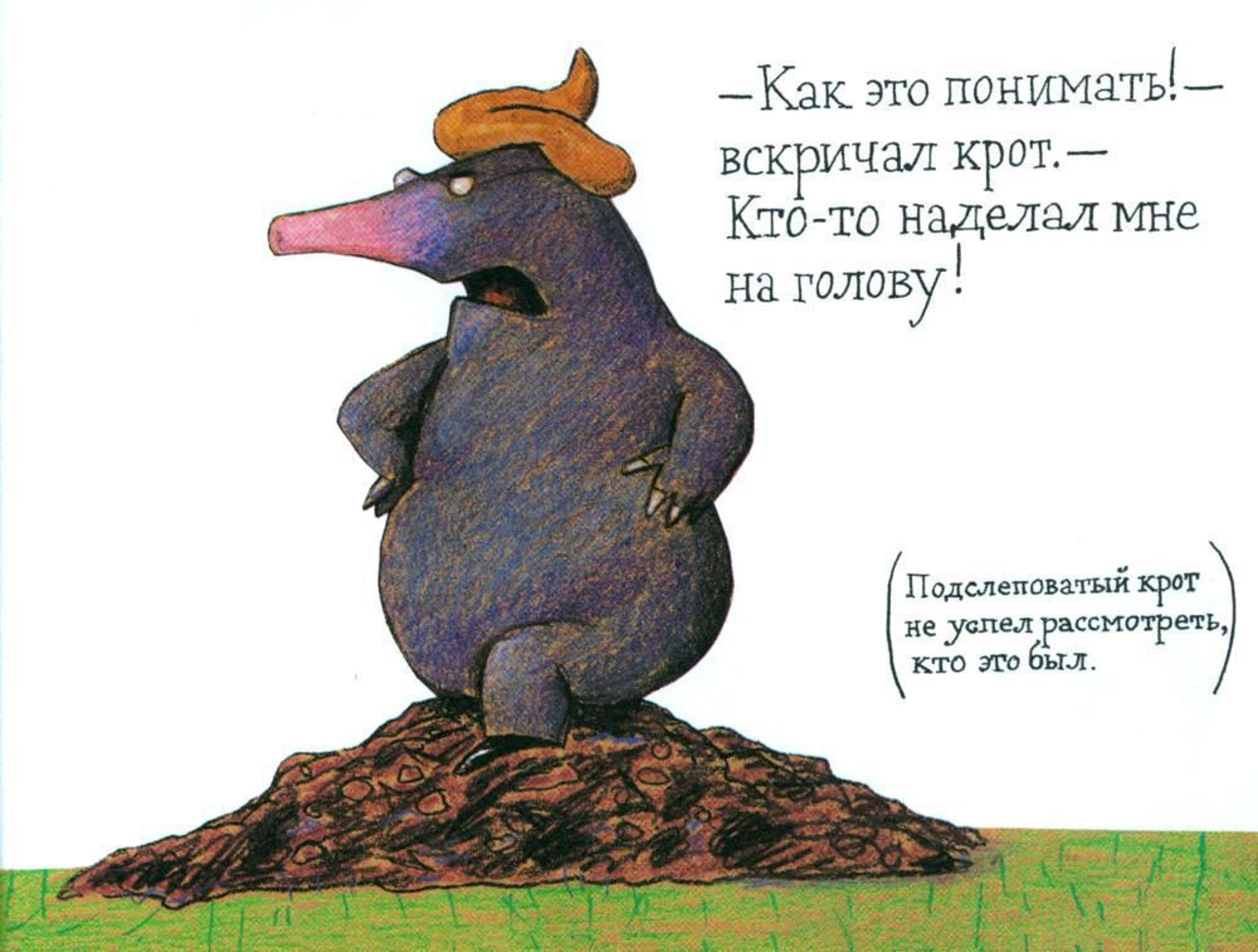 The Little Mole Who Knew It Wasn't His Fault