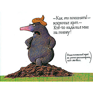 The Little Mole Who Knew It Wasn't His Fault