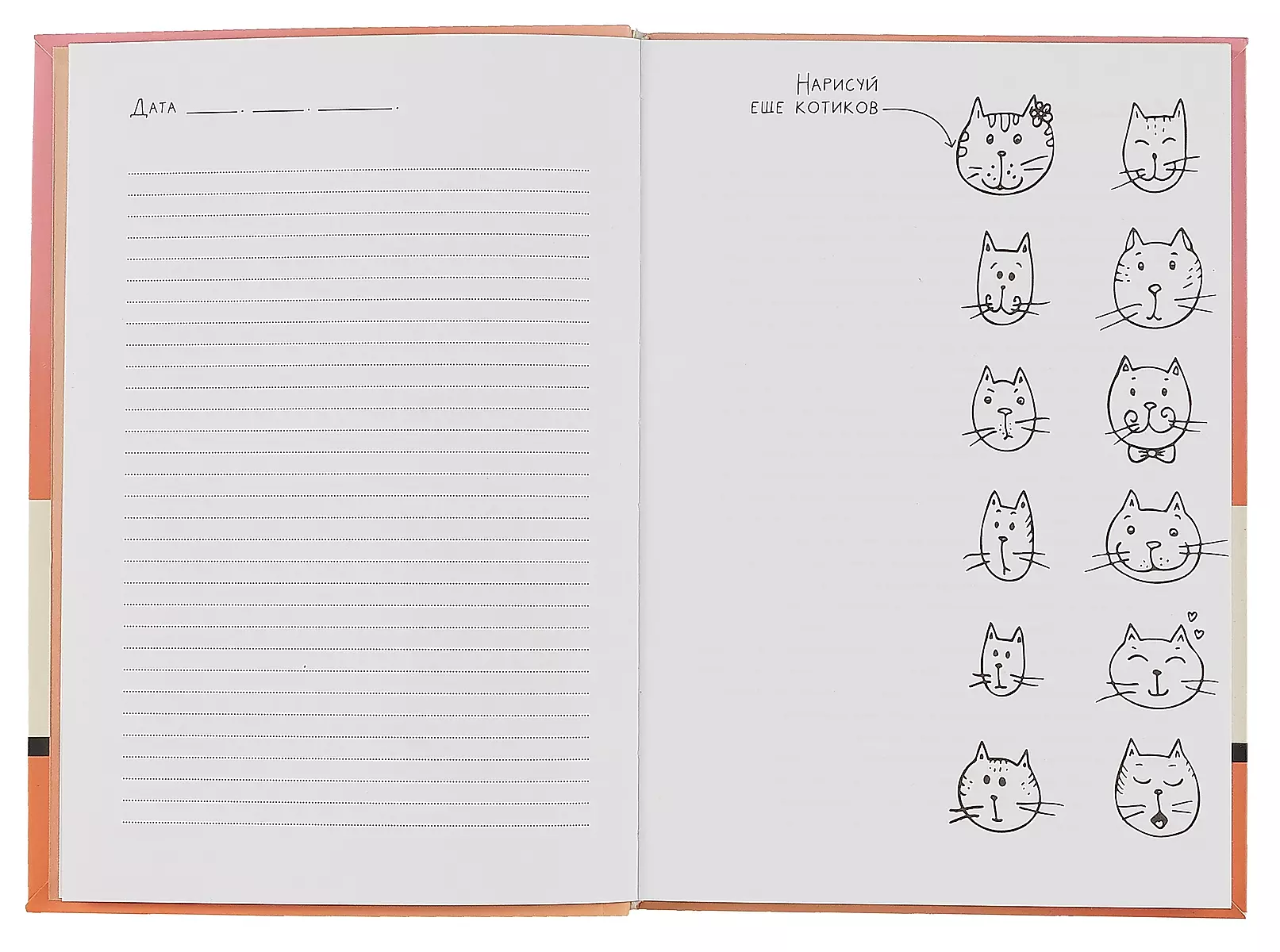 Sketchbook. Fluffy Kittens