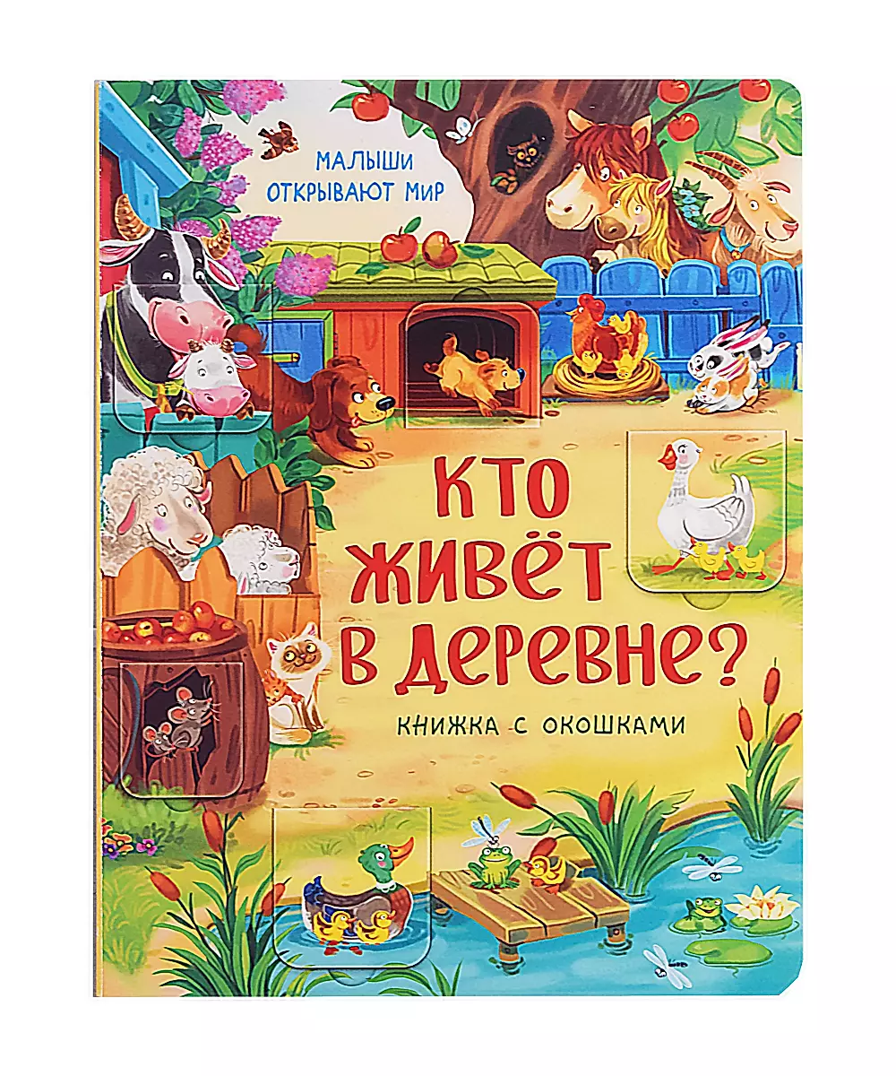 Babies Discover the World_Book with Windows_Who Lives in the Village?