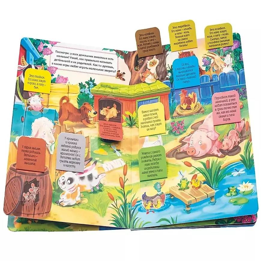 Babies Discover the World_Book with Windows_Who Lives in the Village?