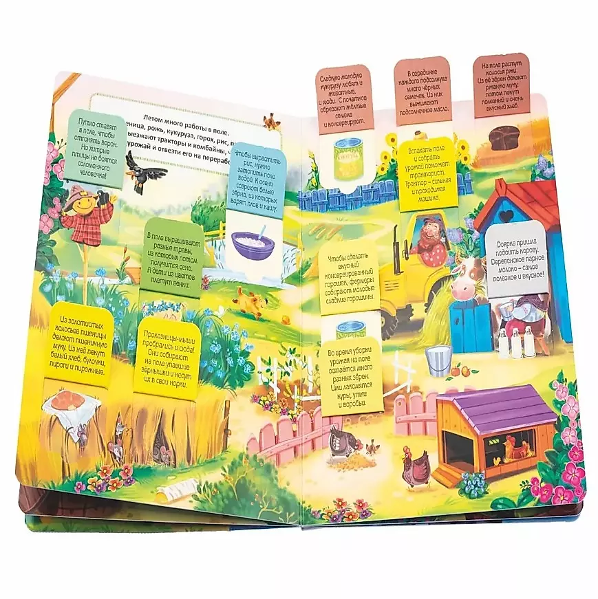 Babies Discover the World_Book with Windows_Who Lives in the Village?