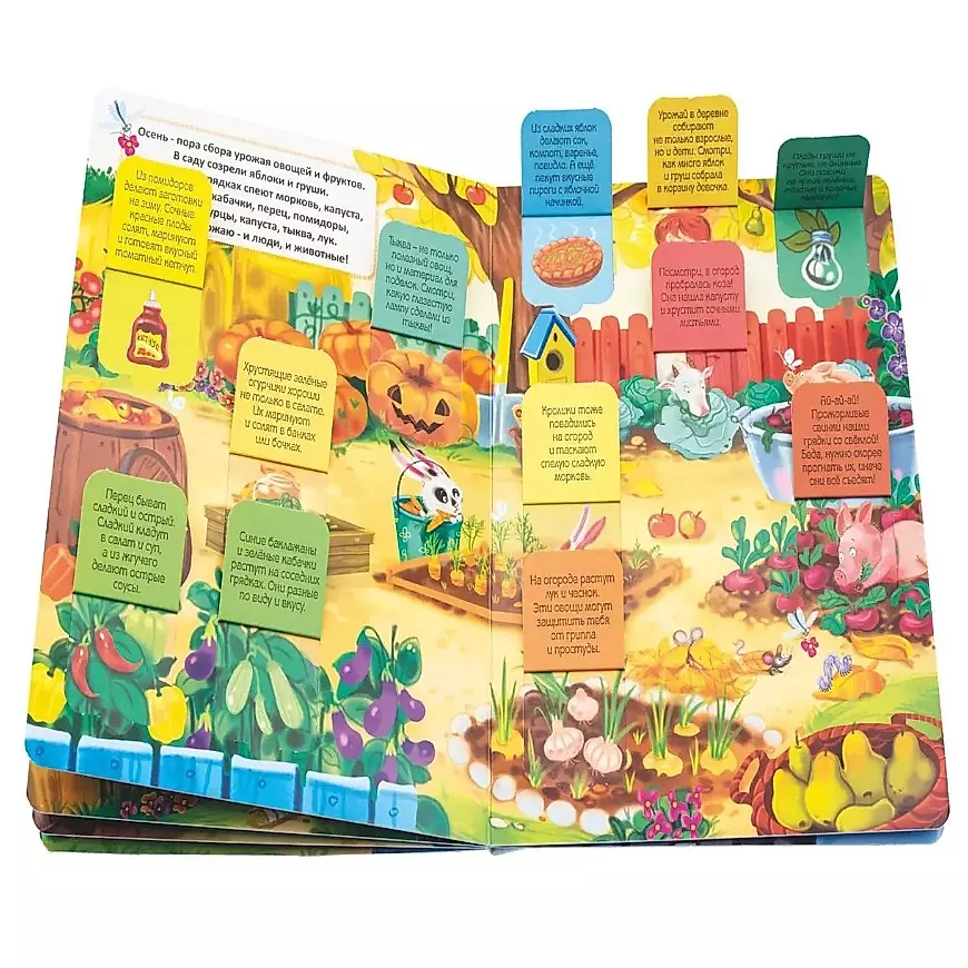 Babies Discover the World_Book with Windows_Who Lives in the Village?