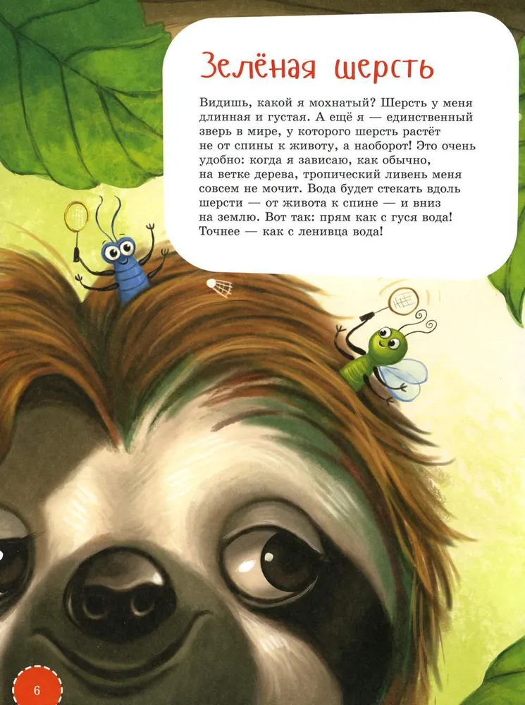 I am a sloth