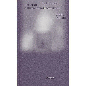Self Study. Notes on Schizoid State