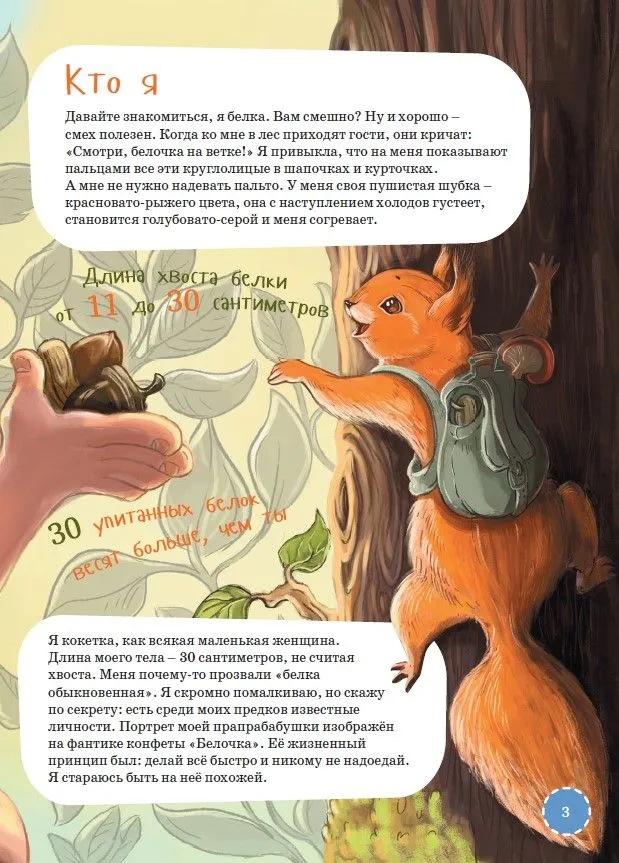 I am a squirrel