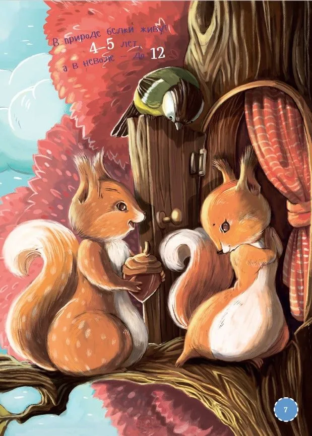 I am a squirrel