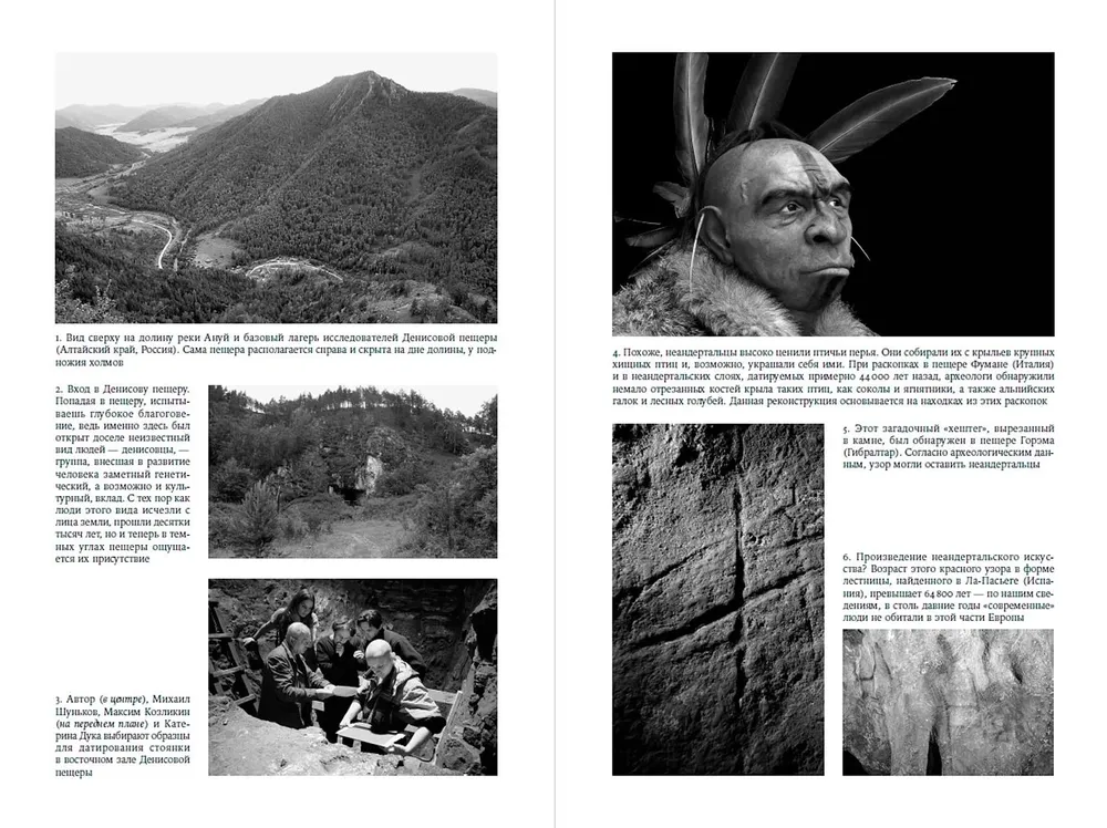 The World Before Us. A New Look at the Origin of Humans