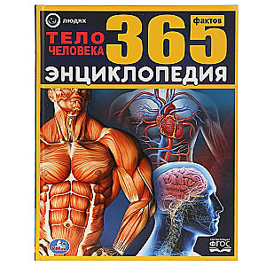 The Human Body. 365 Facts.