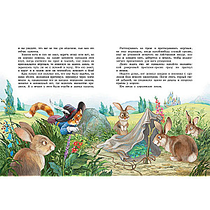 Fairy Tales