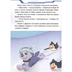 Paw Patrol. Snow Rescuer