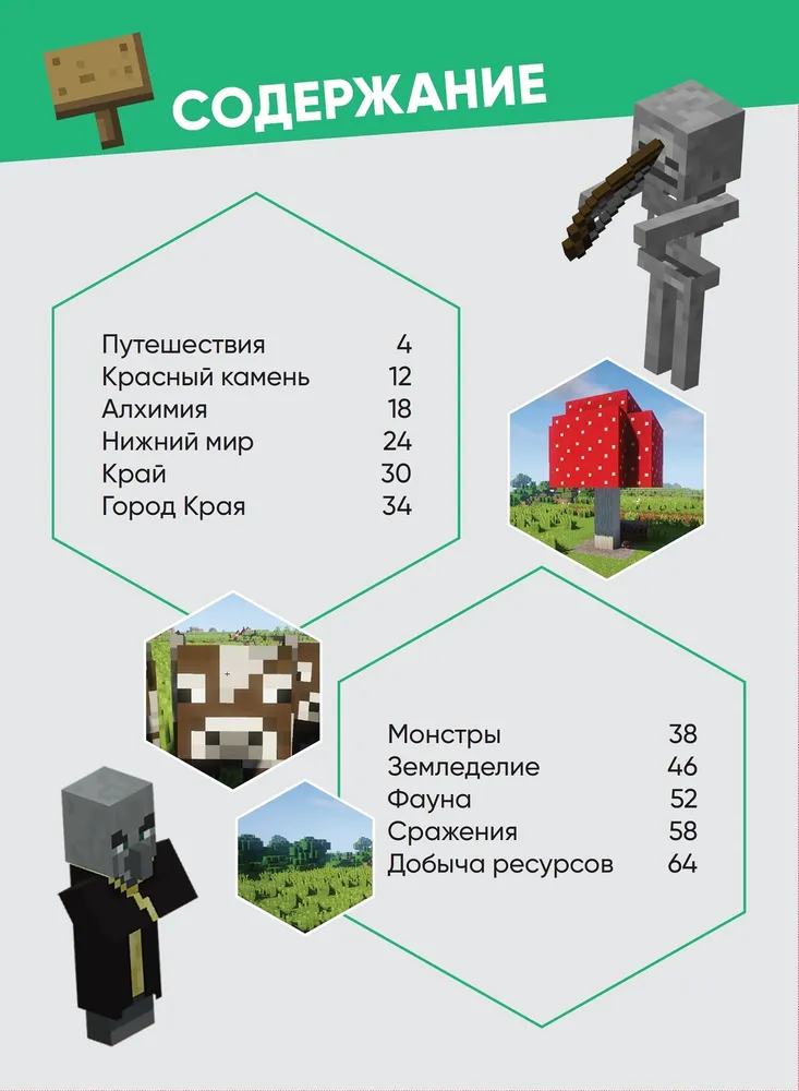 Minecraft. The Big Book of Hints