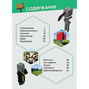 Minecraft. The Big Book of Hints