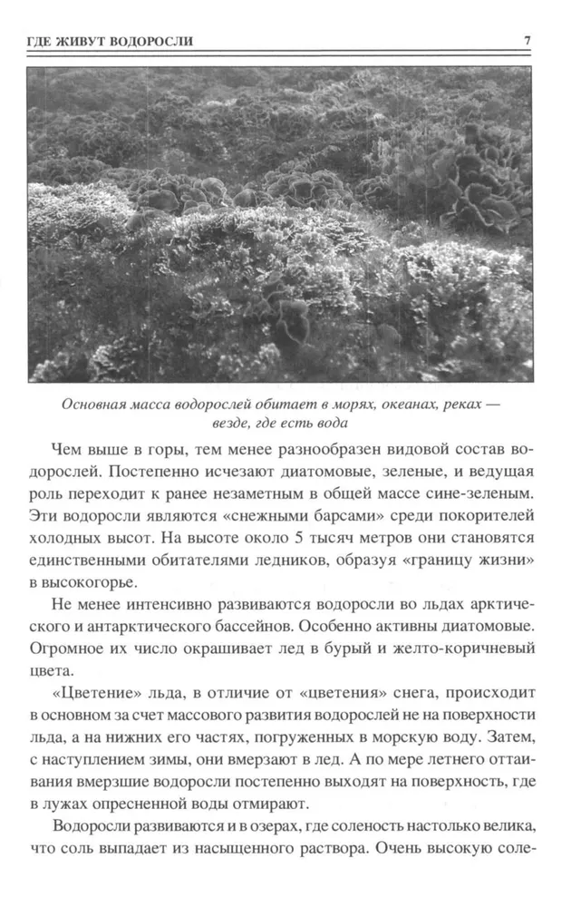 100 Great Secrets from the Life of Plants