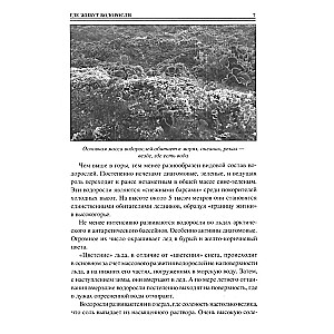 100 Great Secrets from the Life of Plants