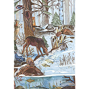 From Winter to Summer. How Forest Animals Live