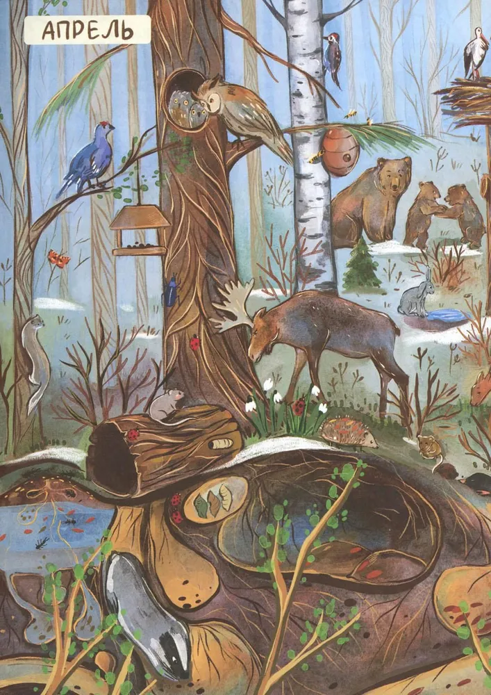 From Winter to Summer. How Forest Animals Live