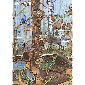 From Winter to Summer. How Forest Animals Live