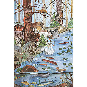 From Winter to Summer. How Forest Animals Live