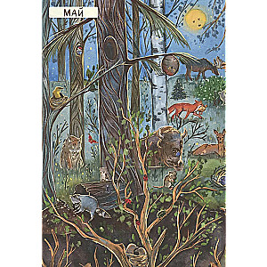 From Winter to Summer. How Forest Animals Live