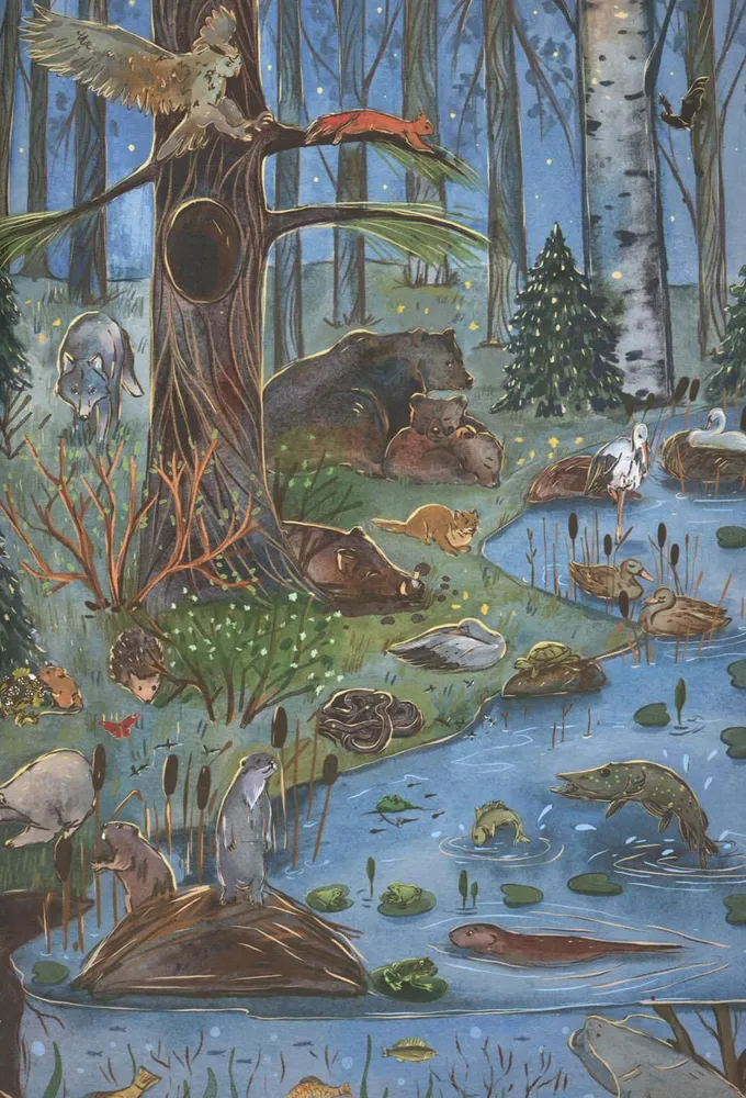 From Winter to Summer. How Forest Animals Live