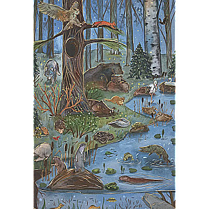 From Winter to Summer. How Forest Animals Live