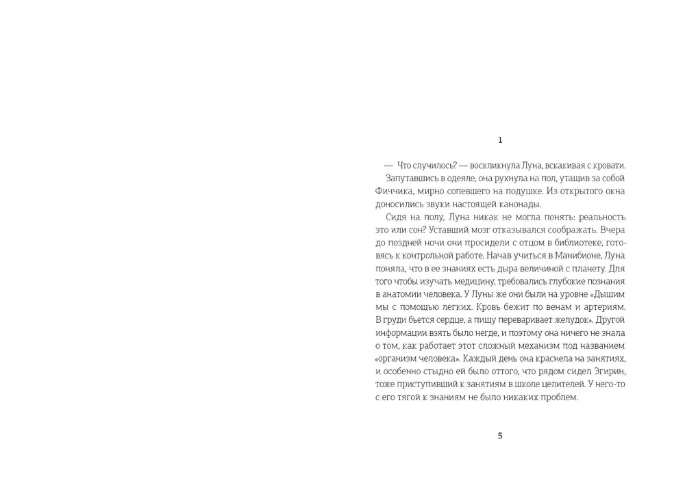 Chronicles of Dragomir. On the Other Side of the Abyss. Book 4