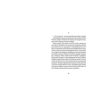 Chronicles of Dragomir. On the Other Side of the Abyss. Book 4
