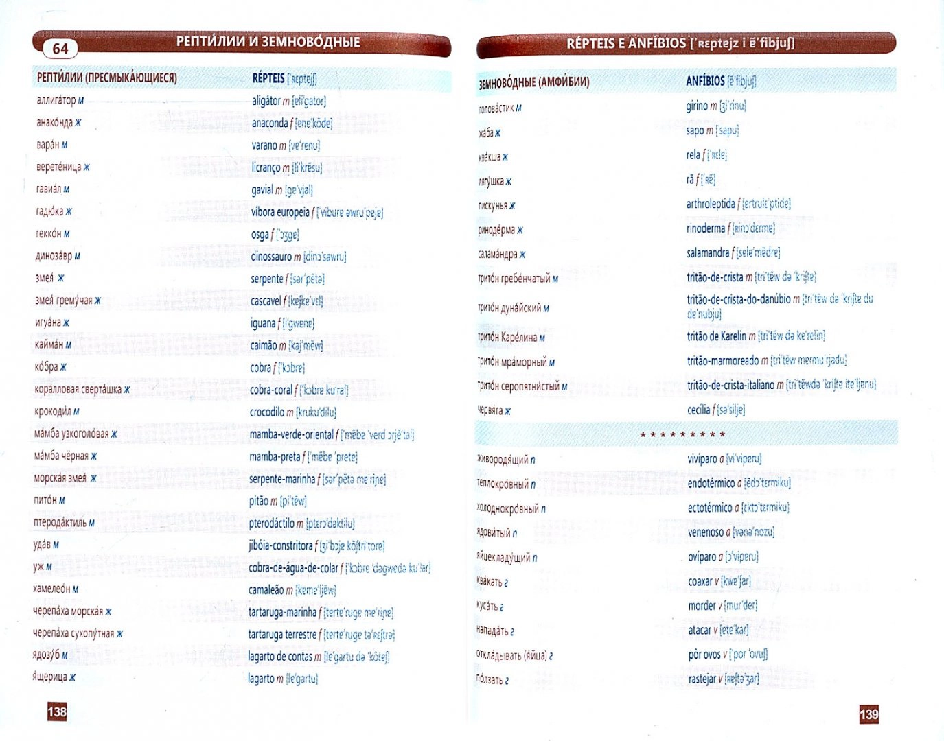 Portuguese Language. Thematic Dictionary