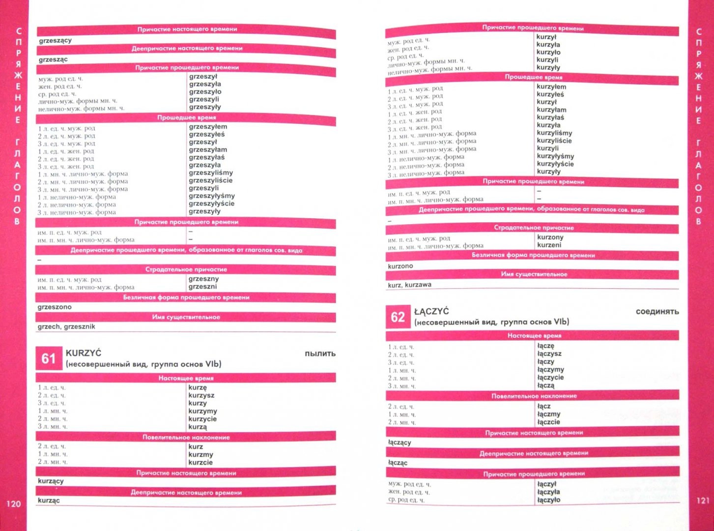 Polish Language. Guide to Verbs