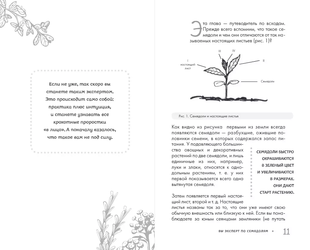Garden Without Weeds. Effective Methods of Weed Control on Your Plot