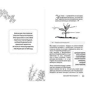 Garden Without Weeds. Effective Methods of Weed Control on Your Plot